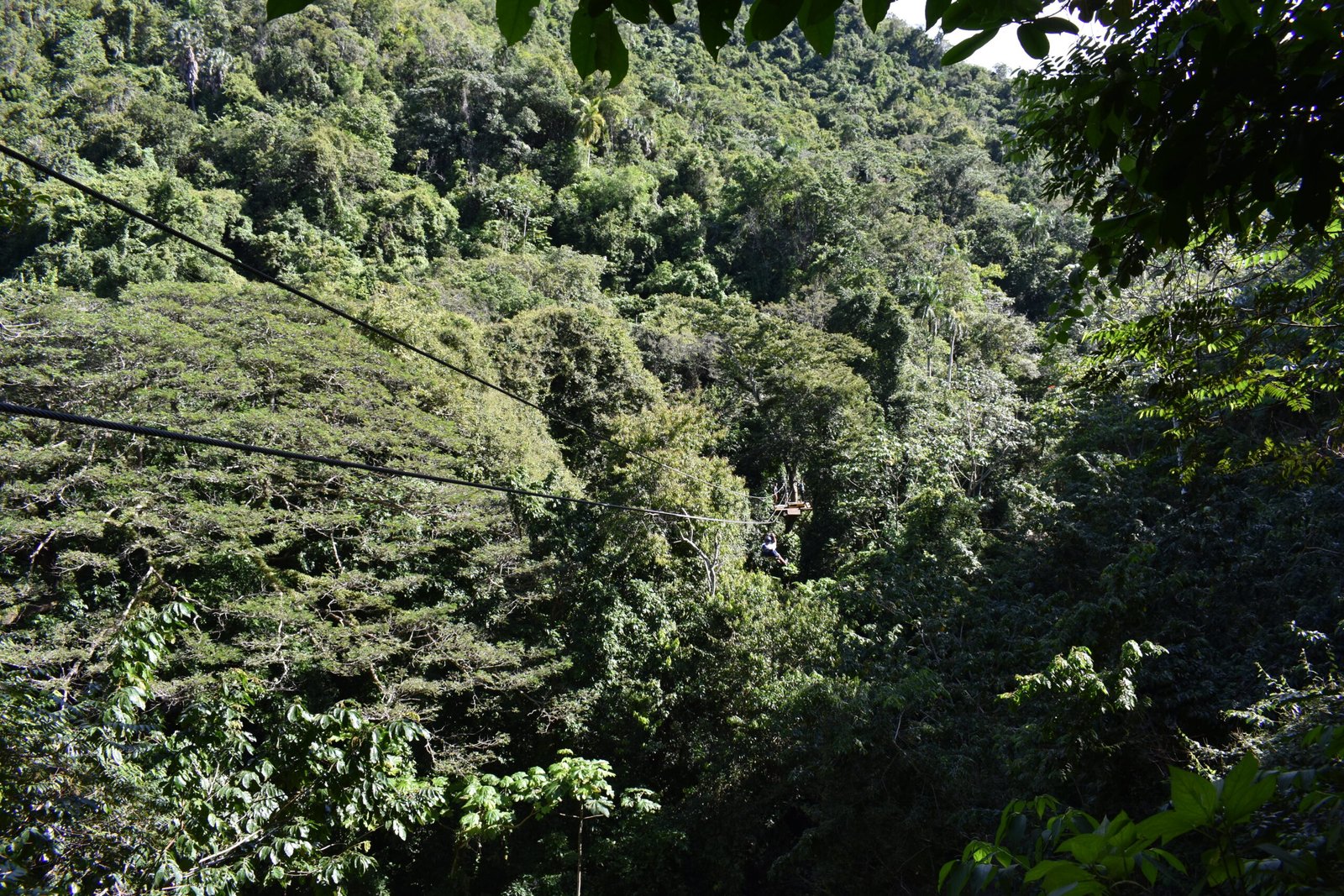Damajagua waterfalls and zipline shore excursion for cruise passengers in Puerto Plata